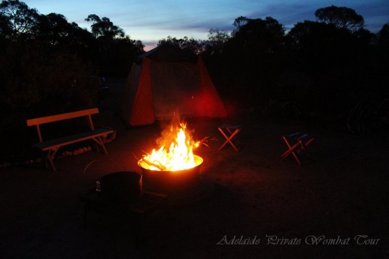 private campground, Wombat Tracking Tour