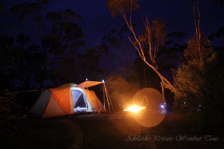 camping under the stars