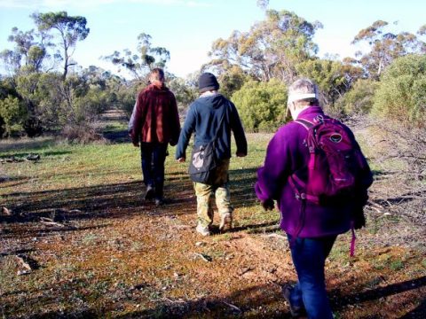 Wombat Tracking Tour South Australia